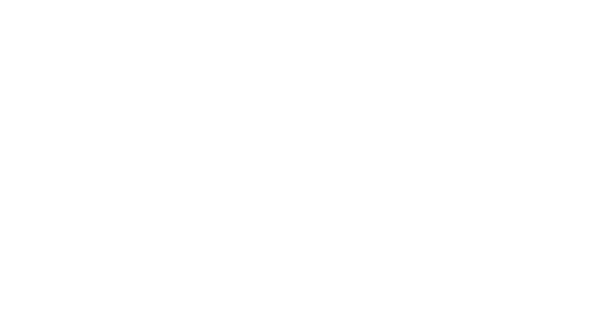 Stizi